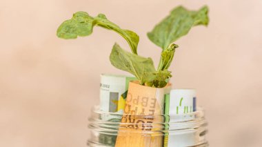 EURO para birimi. Avrupa enflasyonu, EUR parası. Avrupa Birliği para birimi