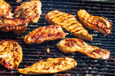 Kömür mangalında ızgara tavuk ve domuz eti. Kamp manzarası, lezzetli barbekü, yemek konsepti, ızgaradaki yemek ve ızgaradaki yemeğin ayrıntıları.