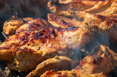Kömür mangalında ızgara tavuk ve domuz eti. Kamp manzarası, lezzetli barbekü, yemek konsepti, ızgaradaki yemek ve ızgaradaki yemeğin ayrıntıları.