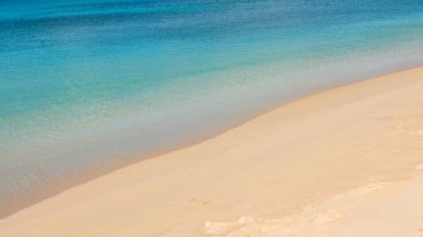 Barbados Adası 'nın Sandy Paradise Plajı, Karayip Adası