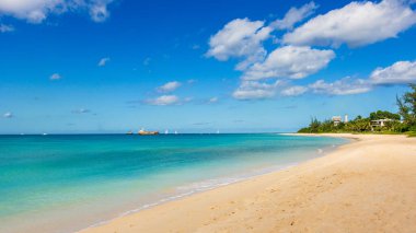 Barbados Adası 'nın Sandy Paradise Plajı, Karayip Adası