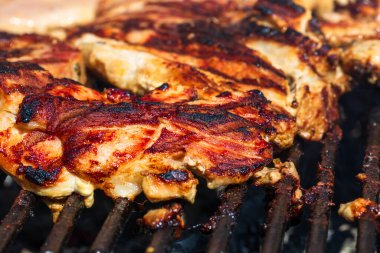 Kömür mangalında ızgara tavuk ve domuz eti. Kamp manzarası, lezzetli barbekü, yemek konsepti, ızgaradaki yemek ve ızgaradaki yemeğin ayrıntıları.