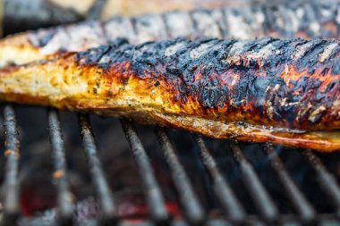 Izgara balık ve mangal kömürü. Izgaradaki balığı kapat.
