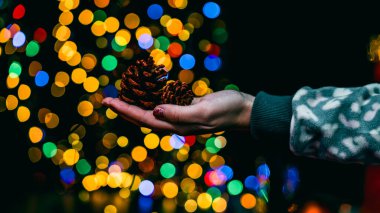 Noel süsleri. Renkli Noel ışıkları arka planı