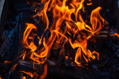 Kömür oluşturmak için odun parçaları yakmak. Barbekü hazırlığı, pişirmeden önce ateş..