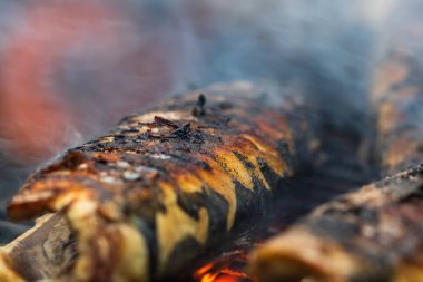 Kömür ızgarasında ızgara balık. Taze balık barbeküsü.