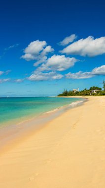 Barbados Adası 'nın Sandy Paradise Plajı, Karayip Adası