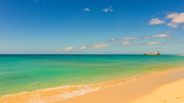 Barbados Adası 'nın Sandy Paradise Plajı, Karayip Adası