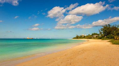 Barbados Adası 'nın Sandy Paradise Plajı, Karayip Adası
