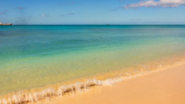 Barbados Adası 'nın Sandy Paradise Plajı, Karayip Adası