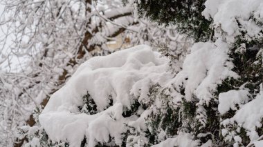 Kışın ilk günü, Romanya 'nın Bükreş kentinde yoğun kar yağdı