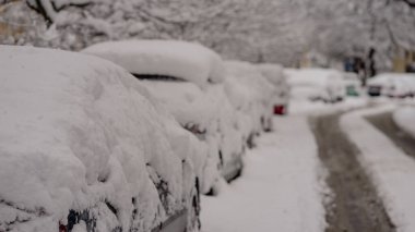 Kışın ilk günü, Romanya 'nın Bükreş kentinde yoğun kar yağdı