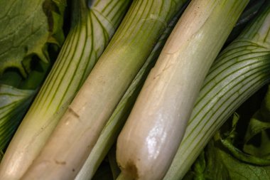 Bir demet taze soğan. Taze soğan detayı, sağlıklı gıda konsepti.