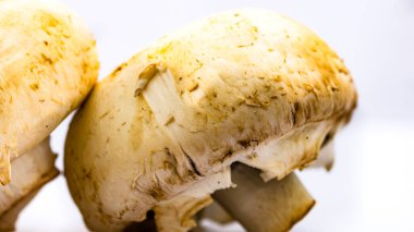 Taze şampiyonlar, şampiyon mantarlar, yakın plan, izole edilmiş.