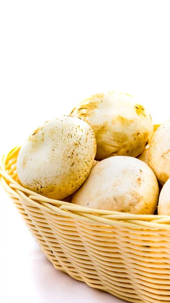 Taze şampiyonlar, hasır sepetteki şampiyon mantarlar izole edildi.