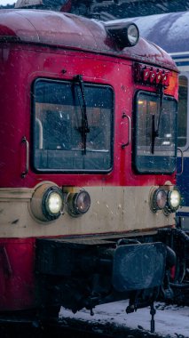 Bükreş Kuzey Tren İstasyonu 'nda Tren (Gara de Nord Bucuresti)