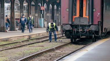 Bükreş Kuzey Tren İstasyonu 'nda Tren (Gara de Nord Bucuresti)