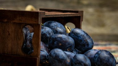 Kırsal bir kompozisyonda ahşap bir sandıkta olgun mavi erikler..