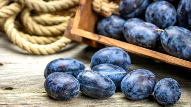 Kırsal bir kompozisyonda ahşap bir sandıkta olgun mavi erikler..