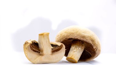 Taze şampiyonlar, şampiyon mantarlar, yakın plan, izole edilmiş.