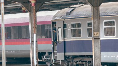 Bükreş Kuzey Tren İstasyonu 'nda Tren (Gara de Nord Bucuresti)