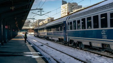 Bükreş Kuzey Tren İstasyonu 'nda Tren (Gara de Nord Bucuresti)