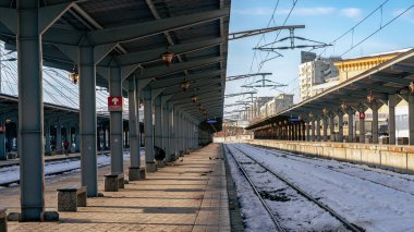 Bükreş Kuzey Tren İstasyonu 'nda Tren (Gara de Nord Bucuresti)