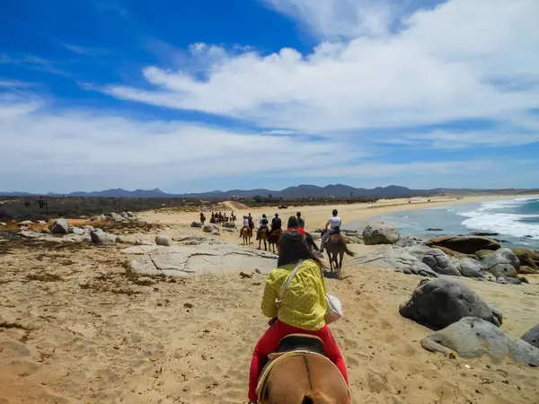 stock image Horseback riding on the beach in Cabo San Lucas, Mexico