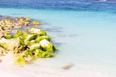 Labadee egzotik tropikal plajı, Haiti, Karayip Denizi