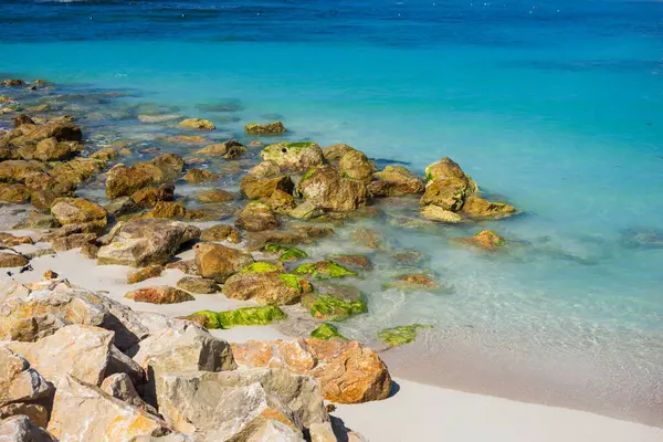 Playa Tropical Exótica Labadee Haití Mar Caribe — Foto de Stock