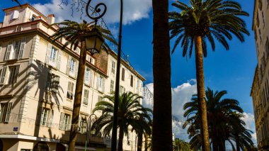 Ajaccio, Korsika Adası, Fransa 'daki Merkez Meydanı Foca
