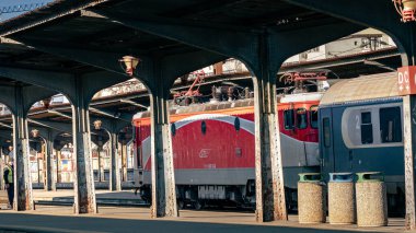 Bükreş Kuzey Tren İstasyonu 'nda Tren (Gara de Nord Bucuresti)
