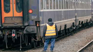 Bükreş Kuzey Tren İstasyonu 'nda Tren (Gara de Nord Bucuresti)