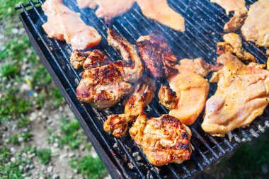 Kömür mangalında ızgara tavuk ve domuz eti. Kamp manzarası, lezzetli barbekü, yemek konsepti, ızgaradaki yemek ve ızgaradaki yemeğin ayrıntıları.