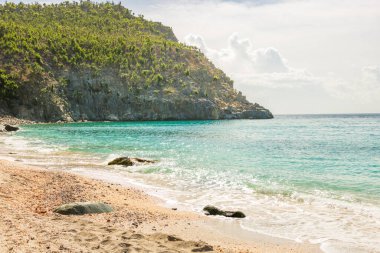 Saint Barthlemy St. Barts 'taki huzurlu plaj, St. Barth Karayipleri
