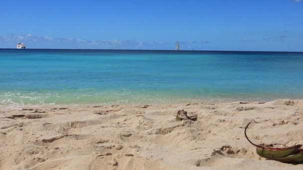 Stranden Horseshoe Bay Och Deep Bay Beach Hamilton Bermuda — Stockvideo