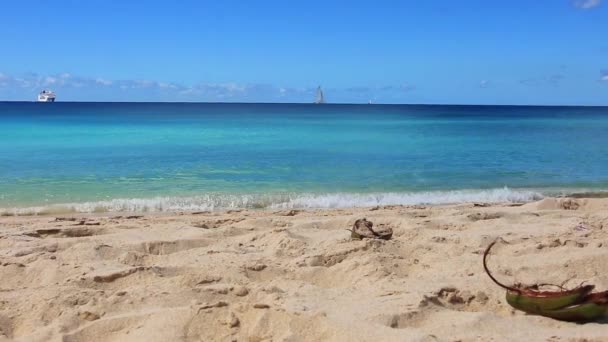 Pláž Horseshoe Bay Deep Bay Beach Hamiltonu Bermudy — Stock video