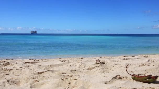 Plaża Horseshoe Bay Deep Bay Beach Hamilton Bermudy — Wideo stockowe
