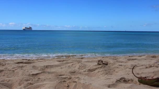 Plage Horseshoe Bay Deep Bay Beach Hamilton Bermudes Clip Vidéo