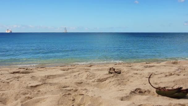 Plage Horseshoe Bay Deep Bay Beach Hamilton Bermudes Vidéo De Stock