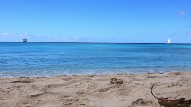 Horseshoe Bay Beach Deep Bay Beach Гамильтоне Бермудские Острова — стоковое видео