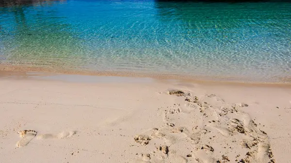 Horseshoe Bay Sahili ve Hamilton, Bermuda 'daki Deep Bay Sahili