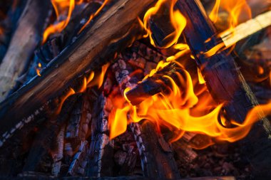 Kömür oluşturmak için odun parçaları yakmak. Barbekü hazırlığı, pişirmeden önce ateş..