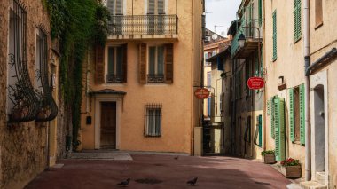 Cannes, French Riviera 'nın renkli binalarına bak