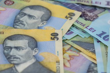 RON Leu Para Avrupa Para Birimi