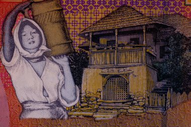 LEI para banknotları, RON 'un detaylı fotoğrafı. Romanya para birimi