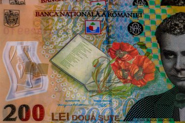 LEI para banknotları, RON 'un detaylı fotoğrafı. Romanya para birimi