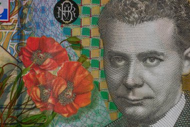 LEI para banknotları, RON 'un detaylı fotoğrafı. Romanya para birimi