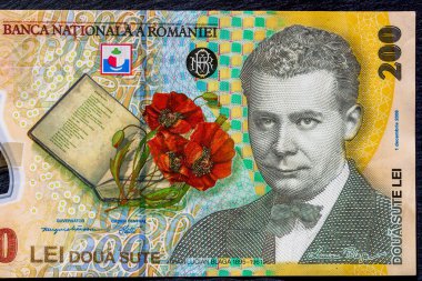 LEI para banknotları, RON 'un detaylı fotoğrafı. Romanya para birimi