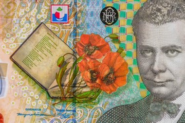 LEI para banknotları, RON 'un detaylı fotoğrafı. Romanya para birimi